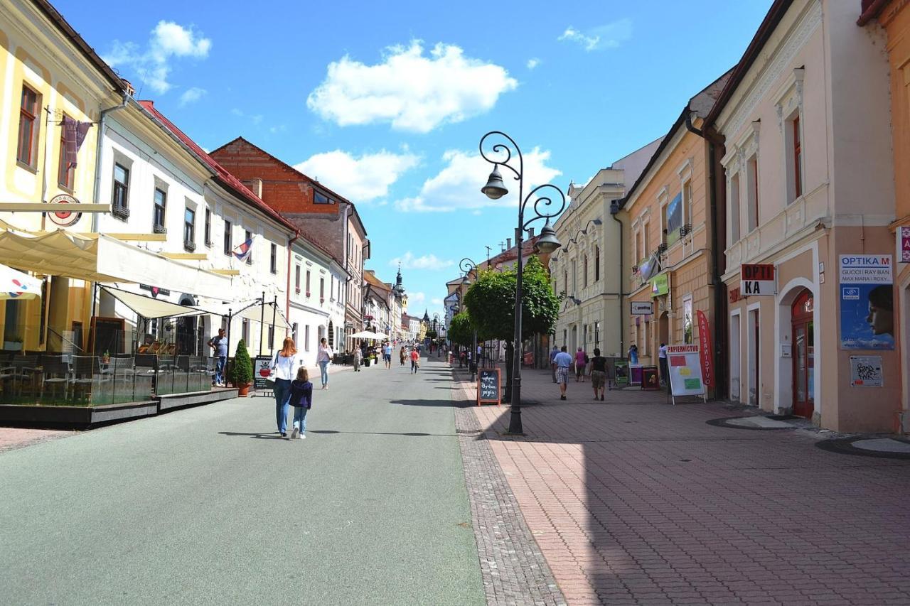 Old Town Apt. A/C And Parking Bańska Bystrzyca Zewnętrze zdjęcie